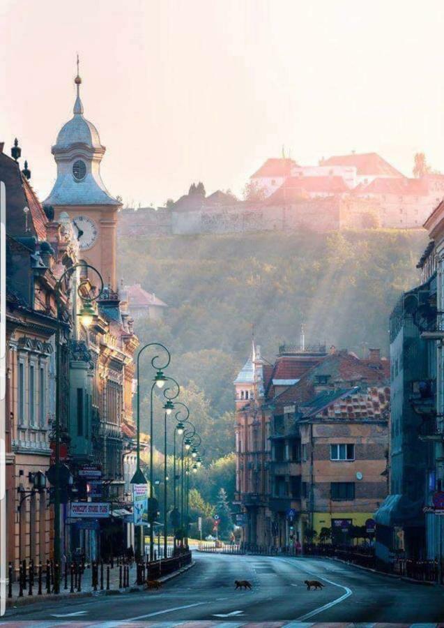 Strada Republicii nr 26 Apartment Brașov Exterior foto